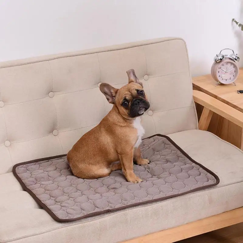 Cooling Mat for Dogs & Cats – Breathable Summer Pad for Small, Medium & Large Pets