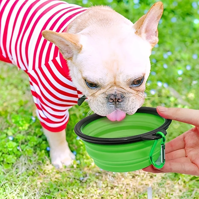 Pawora Collapsible Travel Bowl