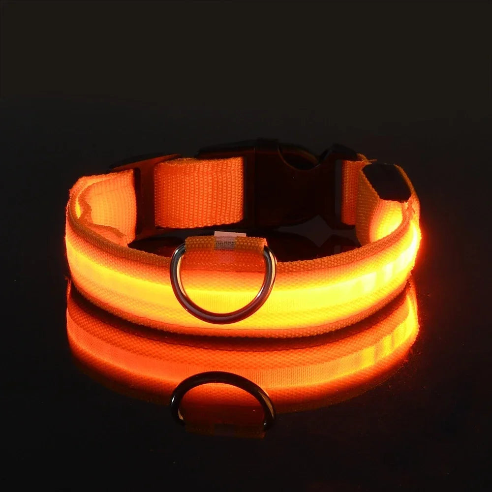 Pawora Collar Nylon LED