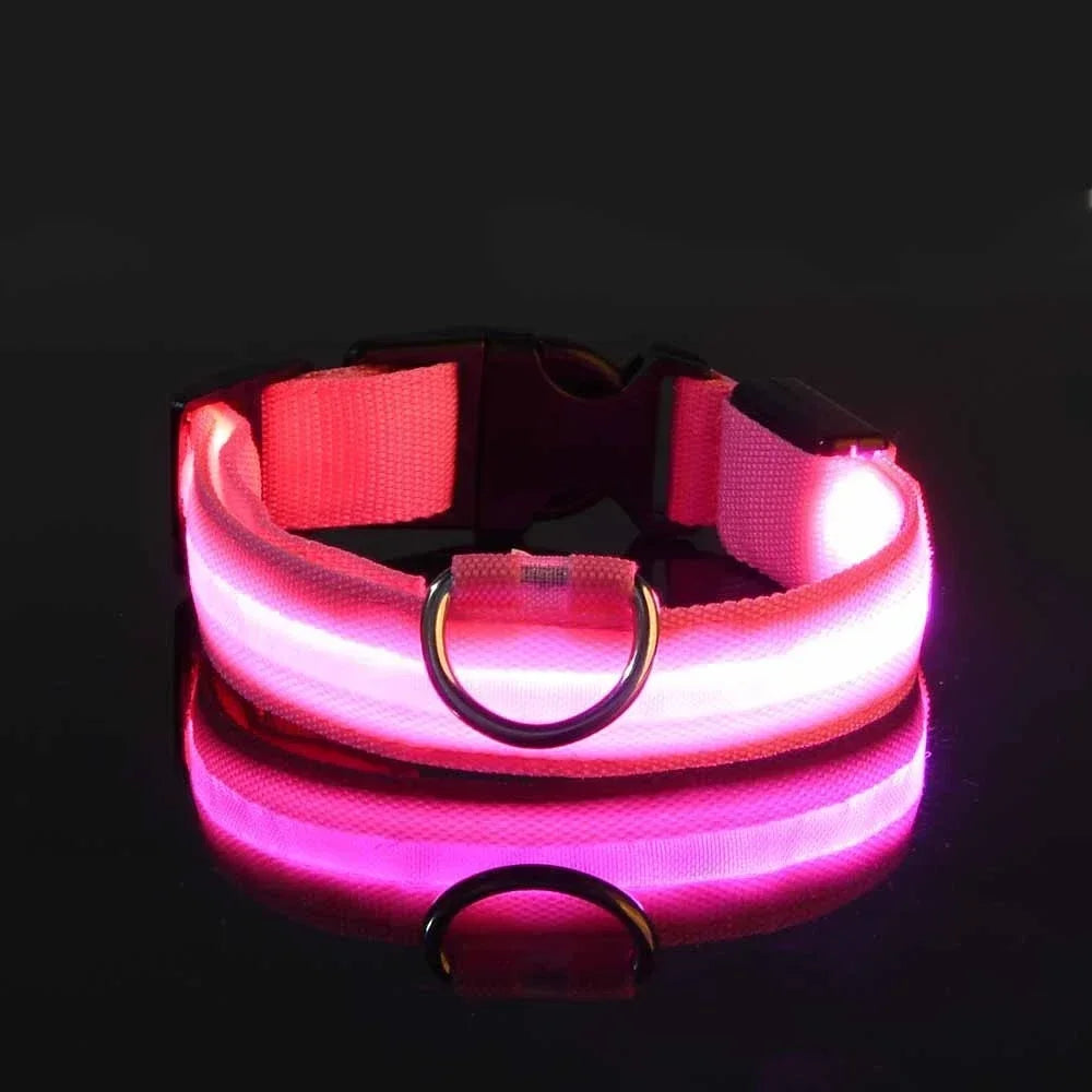 Pawora Collar Nylon LED