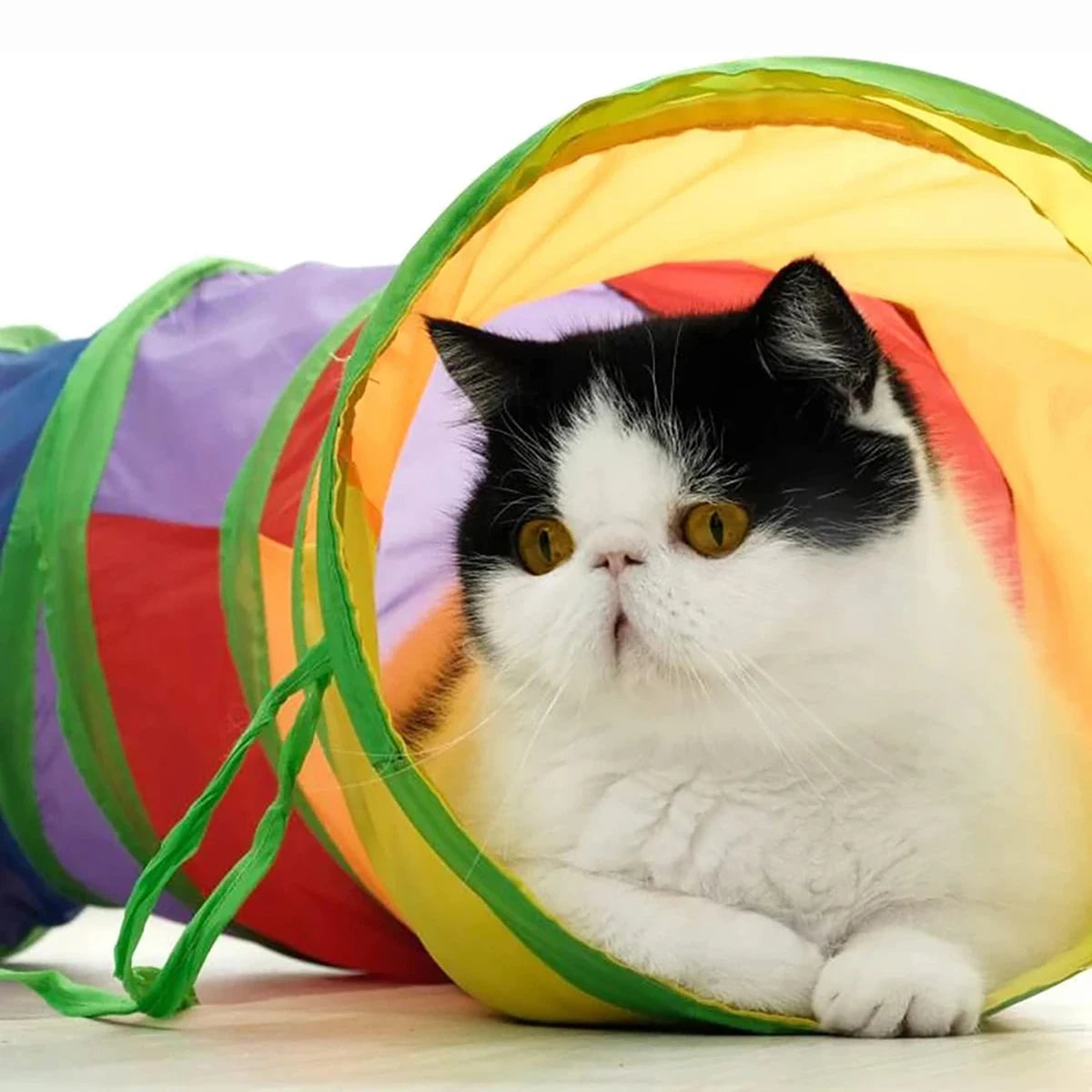 Pawora Cat Tunnel