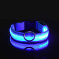 Pawora Collar Nylon LED
