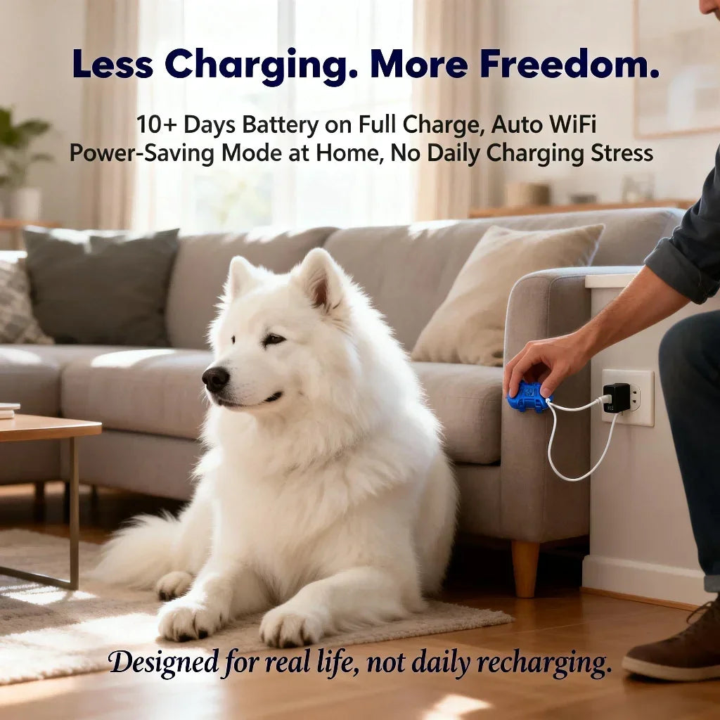 GPS Pet Tracker for Dogs & Cats – WiFi & IoT Tracking, No Distance Limit
