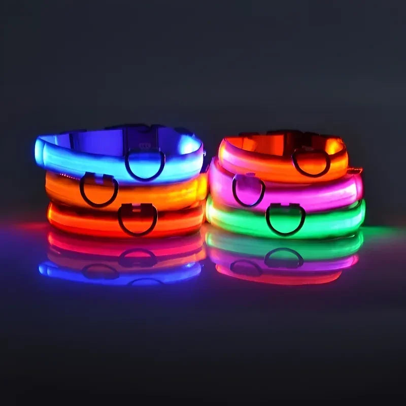 Pawora Collar Nylon LED