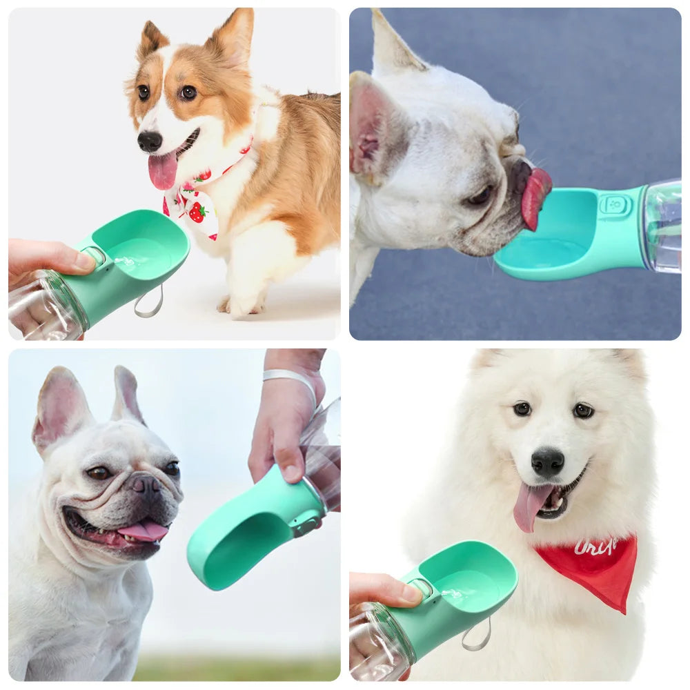 Pawora Dog Water Bottle