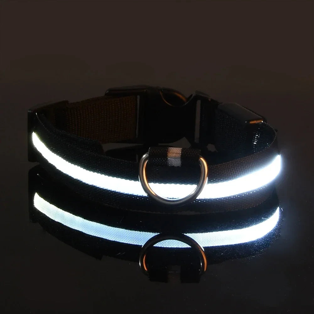 Pawora Collar Nylon LED