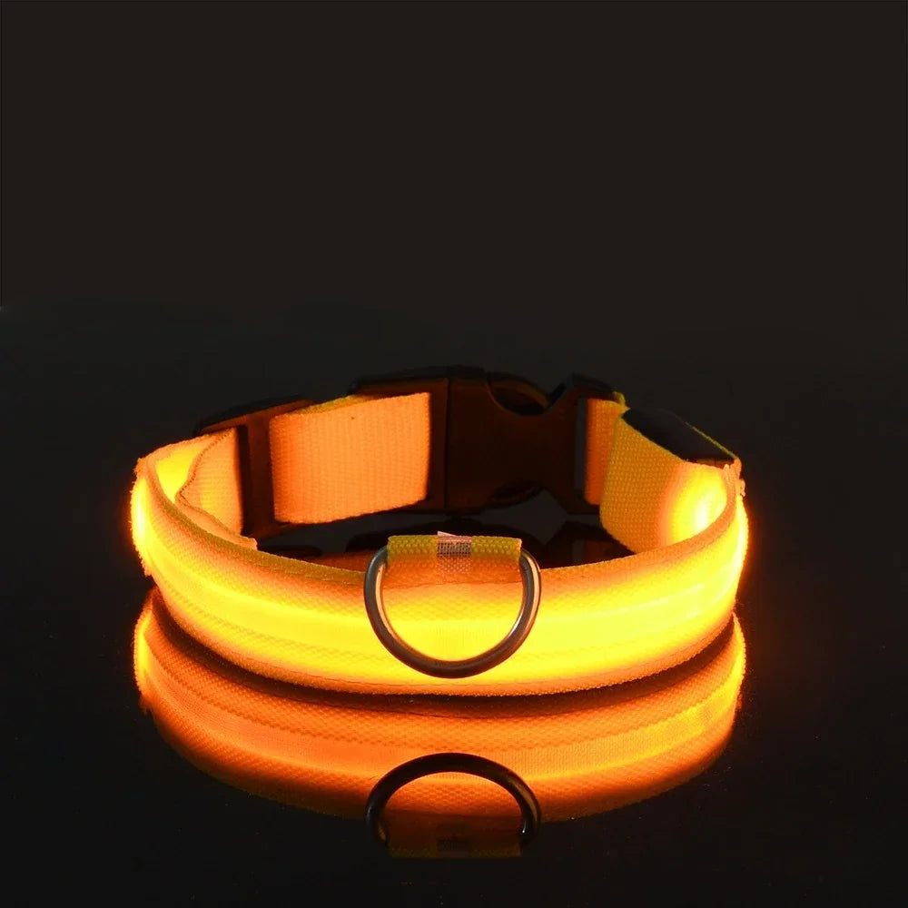 Pawora Collar Nylon LED