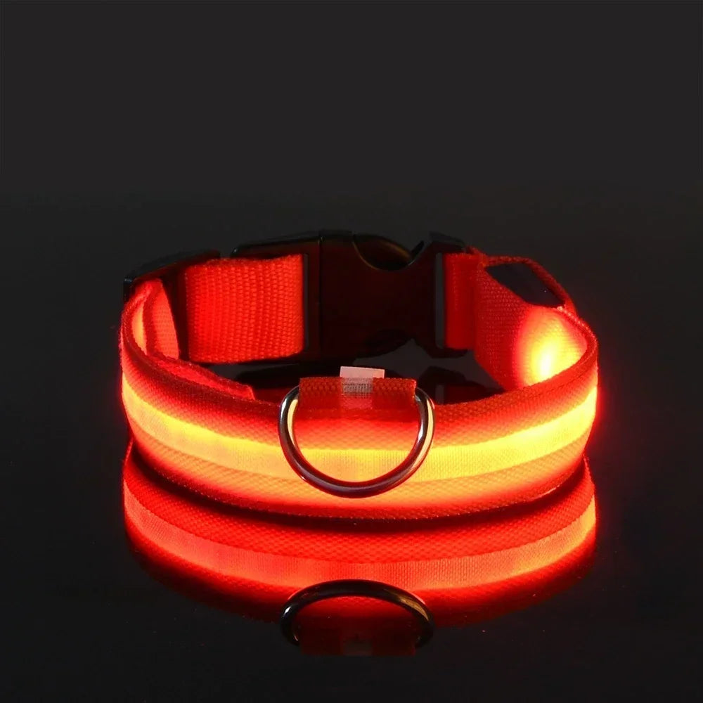 Pawora Collar Nylon LED