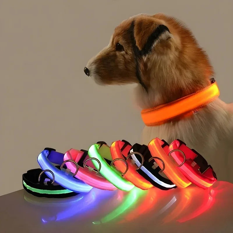 Pawora Collar Nylon LED