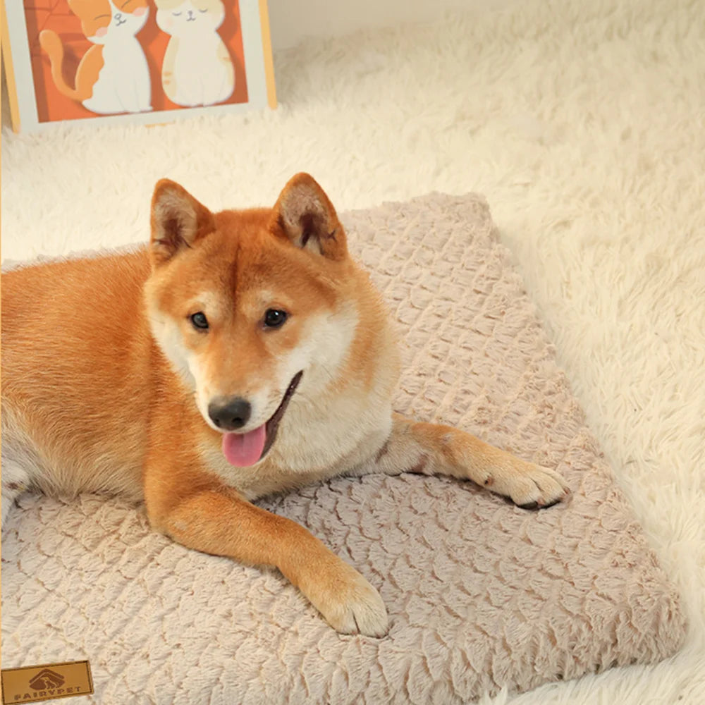 Orthopedic Dog & Cat Bed – 3D Memory Foam, Waterproof & Washable Cover