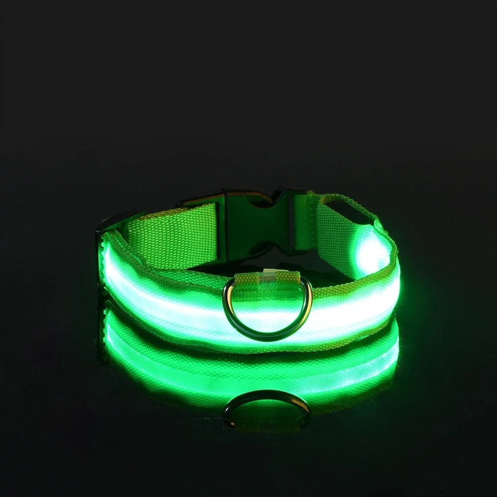 Pawora Collar Nylon LED